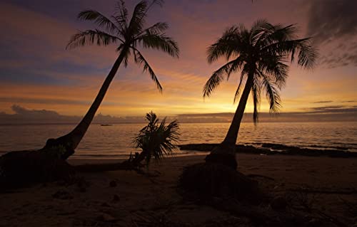 Geschenk für jährige Jungen 3D-Puzzle 1000 Teile, Naturlandschaft, Strand, Meer, Sonnenuntergang, Wellen, Philippinen 50x70CM Geschenk für jährige Jungen 3D-Puzzle 1000 Teile, Naturlandschaft, Strand, Meer, Sonnenuntergang, Wellen, Philippinen 50x70CM von EZMLFA