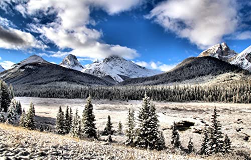 Geschenke für Mädchen 3D Puzzle 2000 Teile, Naturschönheit, Schnee, Alberta, Kananaskis 70x100CM von EZMLFA