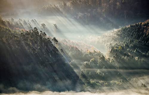 Gift Boy 3D-Puzzle 2000 Teile, Schönheit der Naturlandschaft, Nebel, Sonnenlicht, Wald 70x100CM Gift Boy 3D-Puzzle 2000 Teile, Schönheit der Naturlandschaft, Nebel, Sonnenlicht, Wald 70x100CM von EZMLFA