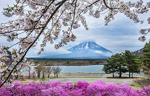 Jungenpuzzle 1000 Teile Naturschönheit, Blumen, Japan, Kirschblüten, Berg Fuji 26x38CM von EZMLFA