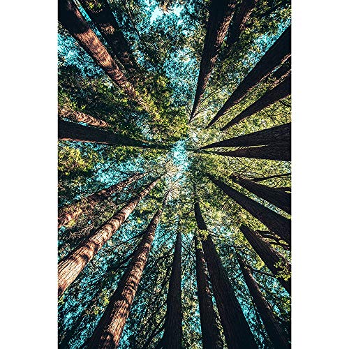 Klassisches Puzzle, Waldbaumlandschaft, Puzzle für Erwachsene und Kinder, geistiges Lernspielzeug, 2000 70x100CM Klassisches Puzzle, Waldbaumlandschaft, Puzzle für Erwachsene und Kinder, geistiges Lernspielzeug, 2000 70x100CM von EZMLFA