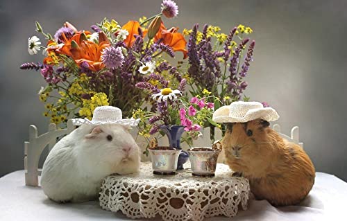 Konzentrationsspiele für Kinder 3D Puzzle 1000 Teile Meerschweinchen 26x38CM von EZMLFA