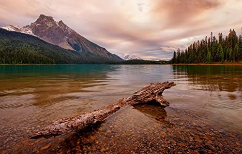 Memory-Puzzle für Erwachsene, 2000 Teile, Naturschönheit, Yoho-Nationalpark, Kanadische Rocky Mountains, Emerald Lake, 70 x 100 cm Memory-Puzzle für Erwachsene, 2000 Teile, Naturschönheit, Yoho-Nationalpark, Kanadische Rocky Mountains, Emerald Lake, 70 x 100 cm von EZMLFA