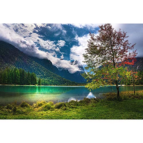 Naturlandschafts-Puzzle, 1000 Teile, Lernspielzeug für Erwachsene und Kinder, interaktive Familienspiele, 38 x 52 cm Naturlandschafts-Puzzle, 1000 Teile, Lernspielzeug für Erwachsene und Kinder, interaktive Familienspiele, 38 x 52 cm von EZMLFA