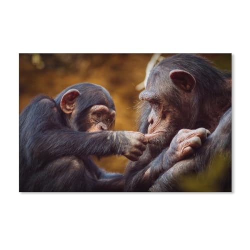 Papierpuzzle 1000 Teile, AFFE, Kleiner Schimpanse, Lernspielzeug für Erwachsene, Geburtstagsgeschenk, 38 x 52 cm Papierpuzzle 1000 Teile, AFFE, Kleiner Schimpanse, Lernspielzeug für Erwachsene, Geburtstagsgeschenk, 38 x 52 cm von EZMLFA