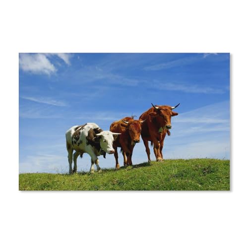 Papierpuzzle 2000 Teile , Tiere Persisches Weißes Kätzchen , Puzzles Lernspielzeug für Erwachsene Geburtstagsgeschenk 70x100CM Papierpuzzle 2000 Teile , Tiere Persisches Weißes Kätzchen , Puzzles Lernspielzeug für Erwachsene Geburtstagsgeschenk 70x100CM von EZMLFA