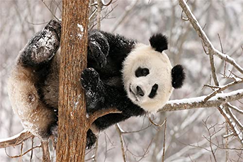 Puzzle, 2000 Teile, Pandabär, Winterschnee, Puzzle-Set für Erwachsene, Spielzeug, Spielgeschenk, 70x100CM von EZMLFA