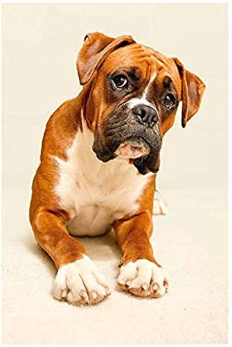 Puzzle 1000 Stück Boxer Hund Und Milch Erwachsene Freizeit Unterhaltung Kinder Lernspielzeug Weihnachten 50x70CM von EZMLFA