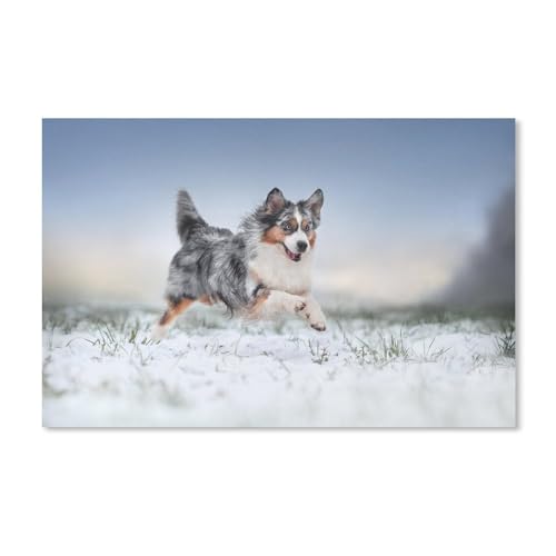 Puzzle 1000 Teile, Australian Shepherd Snow Dog, Papier, Kinderspielzeug, Dekompressionsspiel, 38 x 52 cm, 38 x 26 cm von EZMLFA