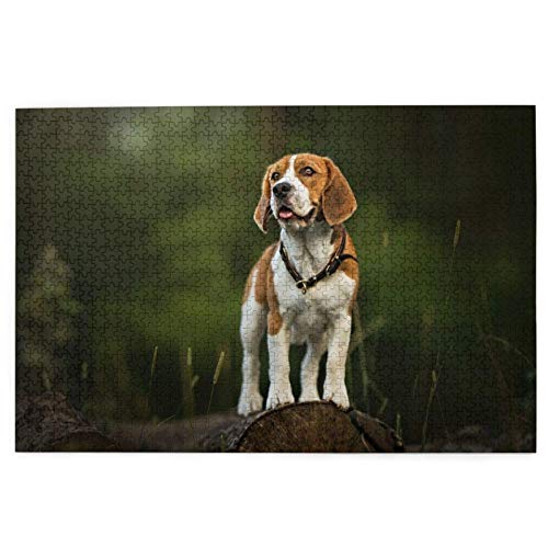 Puzzle 1000 Teile, Beagle-Wald, süße Hunde, Haustiere, Sommerhunde, Beagle-Puzzle, Spielzeug, Familienspiel, Wanddekoration für Erwachsene und Jugendliche, 50 x 70 cm Puzzle 1000 Teile, Beagle-Wald, süße Hunde, Haustiere, Sommerhunde, Beagle-Puzzle, Spielzeug, Familienspiel, Wanddekoration für Erwachsene und Jugendliche, 50 x 70 cm von EZMLFA
