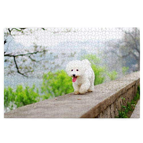 Puzzle 1000 Teile, Bichon Frise Park, Haustiere, Hunde, Bichon Frise Hunde, Puzzlespielzeug, Familienspiel, Wanddekoration für Erwachsene und Jugendliche, 26 x 38 cm Puzzle 1000 Teile, Bichon Frise Park, Haustiere, Hunde, Bichon Frise Hunde, Puzzlespielzeug, Familienspiel, Wanddekoration für Erwachsene und Jugendliche, 26 x 38 cm von EZMLFA
