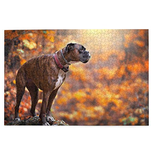 Puzzle 1000 Teile, Boxer, braune Hunde, Herbst, gelbe Bäume, Wald, Puzzlespielzeug, Familienspiel, Wanddekoration für Erwachsene und Jugendliche, 50 x 70 cm Puzzle 1000 Teile, Boxer, braune Hunde, Herbst, gelbe Bäume, Wald, Puzzlespielzeug, Familienspiel, Wanddekoration für Erwachsene und Jugendliche, 50 x 70 cm von EZMLFA