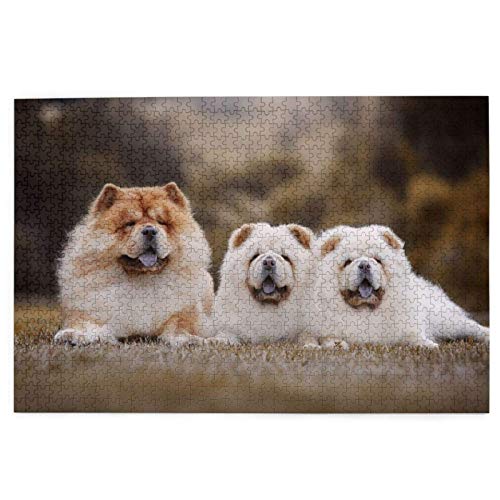 Puzzle 1000 Teile, Chow-Chow-Familie, kleine Flauschige Welpen, kleines Puzzle, Spielzeug, Familienspiel, Wanddekoration für Erwachsene und Jugendliche, 38 x 52 cm Puzzle 1000 Teile, Chow-Chow-Familie, kleine Flauschige Welpen, kleines Puzzle, Spielzeug, Familienspiel, Wanddekoration für Erwachsene und Jugendliche, 38 x 52 cm von EZMLFA