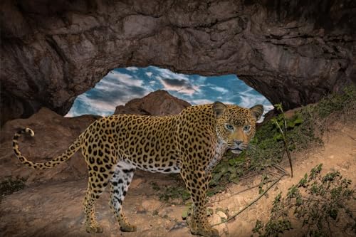 Puzzle 1000 Teile, Der Leopard vor der Höhle, Heimdekorationspuzzle, 50 x 70 cm von EZMLFA