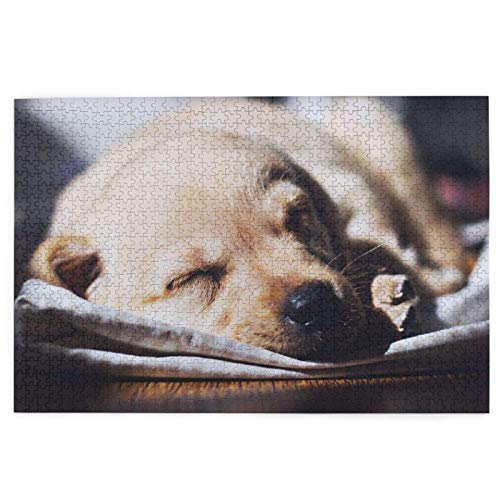 Puzzle 1000 Teile, Kleiner Labrador, schlafender Welpe, Golden Retriever, Puzzlespielzeug, Familienspiel, Wanddekoration für Erwachsene und Jugendliche, 50 x 70 cm Puzzle 1000 Teile, Kleiner Labrador, schlafender Welpe, Golden Retriever, Puzzlespielzeug, Familienspiel, Wanddekoration für Erwachsene und Jugendliche, 50 x 70 cm von EZMLFA