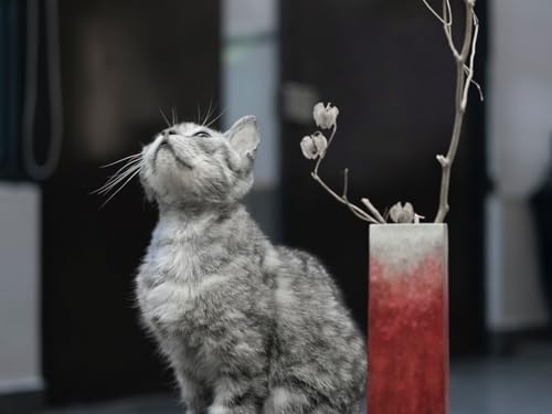 Puzzle 1000 Teile, Lernspielzeug - Katze, Haustier, Ansicht 50x70CM von EZMLFA