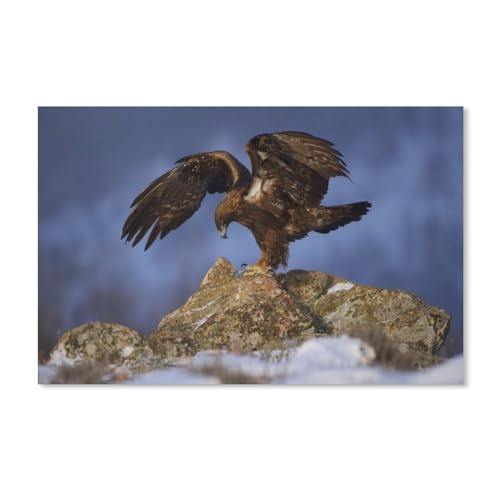 Puzzle 1000 Teile, Raubvogel, Großes Familienpuzzlespiel, Kunstwerk für Erwachsene und Jugendliche, 38 x 52 cm, 70 x 50 cm Puzzle 1000 Teile, Raubvogel, Großes Familienpuzzlespiel, Kunstwerk für Erwachsene und Jugendliche, 38 x 52 cm, 70 x 50 cm von EZMLFA