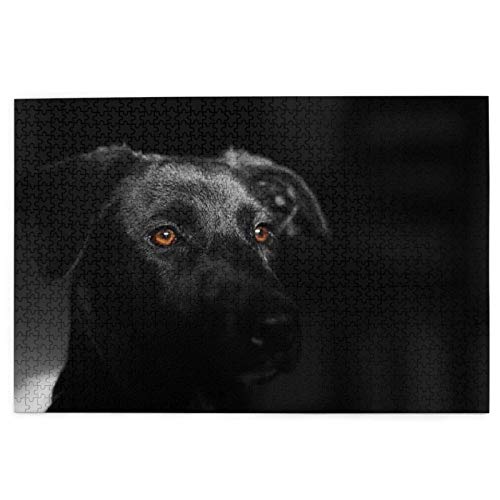 Puzzle 1000 Teile, Schwarzer Labrador, Schwarzer Retriever, Hunde, Haustiere, Puzzle, Spielzeug, Familienspiel, Wanddekoration für Erwachsene und Jugendliche, 50 x 70 cm Puzzle 1000 Teile, Schwarzer Labrador, Schwarzer Retriever, Hunde, Haustiere, Puzzle, Spielzeug, Familienspiel, Wanddekoration für Erwachsene und Jugendliche, 50 x 70 cm von EZMLFA