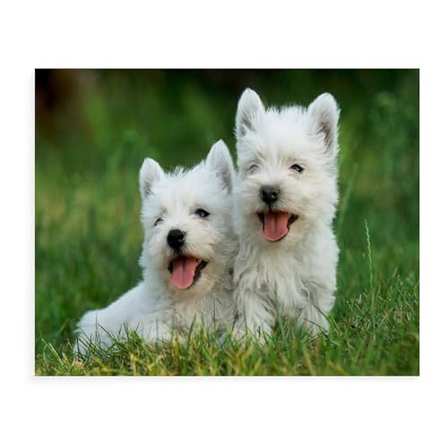 Puzzle 1000 Teile, West Highland White Terrier, Kinderkunst für Erwachsene, Kinderspiele, Lernspielzeug, 26 x 38 cm Puzzle 1000 Teile, West Highland White Terrier, Kinderkunst für Erwachsene, Kinderspiele, Lernspielzeug, 26 x 38 cm von EZMLFA