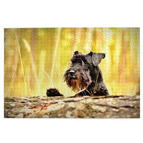 Puzzle 1000 Teile, Zwergschnauzer, Waldhaustiere, Schwarze Hunde, Puzzlespielzeug, Familienspiel, Wanddekoration für Erwachsene und Jugendliche, 50 x 70 cm Puzzle 1000 Teile, Zwergschnauzer, Waldhaustiere, Schwarze Hunde, Puzzlespielzeug, Familienspiel, Wanddekoration für Erwachsene und Jugendliche, 50 x 70 cm von EZMLFA