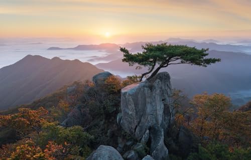 Puzzle 1000 Teile, klassisches Puzzle, DIY-Kit, einzigartiges Geschenk, Heimdekoration, Landschaft, Berge, Baum, Korea, Bonsai, 26 x 38 cm Puzzle 1000 Teile, klassisches Puzzle, DIY-Kit, einzigartiges Geschenk, Heimdekoration, Landschaft, Berge, Baum, Korea, Bonsai, 26 x 38 cm von EZMLFA
