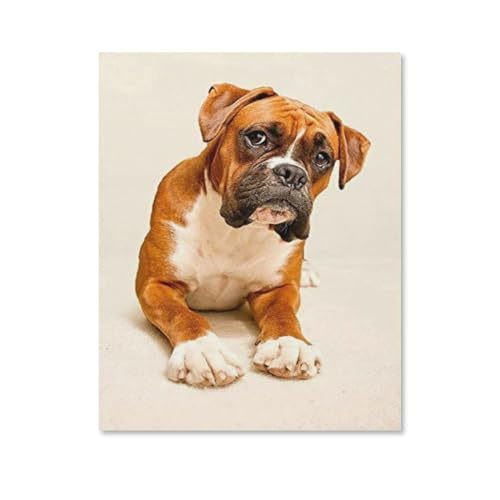 Puzzle 1000 Teile，Boxerhund，Spielzeug für Erwachsene Dekompressionsspiel 50x70CM von EZMLFA