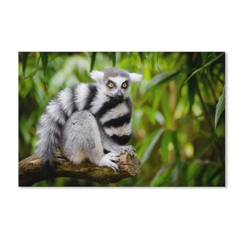 Puzzle 1000 Teile ，Katta auf Baum ， Papier Kinderspielzeug Dekompressionsspiel 38x52CM 52x38CM von EZMLFA