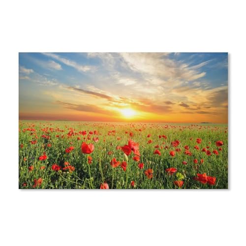Puzzle 1000 Teile ，Mohnblumenfeld, wunderschöner Sonnenuntergang ，Karton Spielzeug für Erwachsene Dekompressionsspiel 38x52CM 38x26CM von EZMLFA