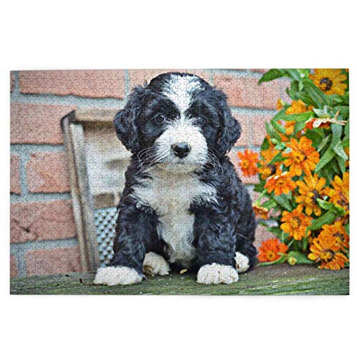 Puzzle 1000 Teile Bernedoodle Blumen Welpen Haustiere Hunde Bernedoodle Puzzle Spielzeug Familienspiel Wanddekoration für Erwachsene Teenager 50x70CM von EZMLFA