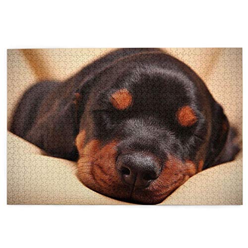Puzzle 1000 Teile Dobermann-Welpe, schlafende Hunde, Haustiere, Hunde, Dobermann, Puzzle, Spielzeug, Familienspiel, Wanddekoration für Erwachsene und Jugendliche, 26 x 38 cm Puzzle 1000 Teile Dobermann-Welpe, schlafende Hunde, Haustiere, Hunde, Dobermann, Puzzle, Spielzeug, Familienspiel, Wanddekoration für Erwachsene und Jugendliche, 26 x 38 cm von EZMLFA
