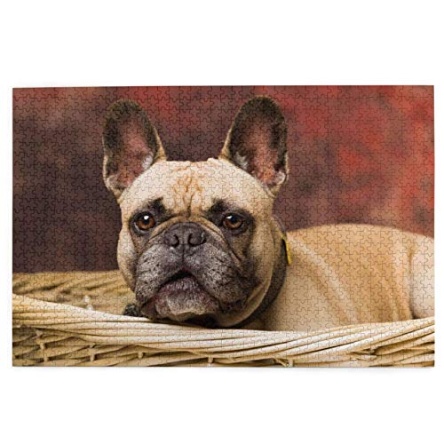 Puzzle 1000 Teile Französische Bulldoggen Einkaufszentrum Welpe Braune kleine Hunde Puzzle Spielzeug Familienspiel Wanddekoration für Erwachsene Teenager 26x38CM von EZMLFA