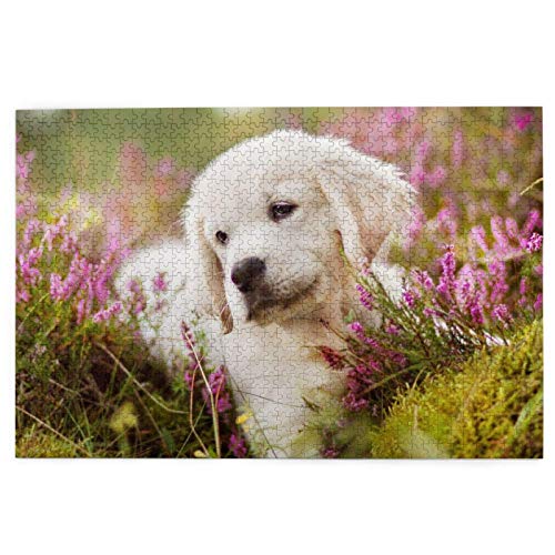 Puzzle 1000 Teile Labrador-Welpe Retriever Haustiere Blumen Labradors Puzzle Spielzeug Familienspiel Wanddekoration für Erwachsene Teenager 50x70CM von EZMLFA