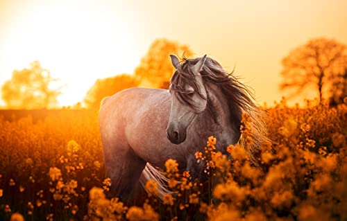 Puzzle 1000 Teile Pferd auf der Wiese bei Sonnenaufgang 50x70CM von EZMLFA