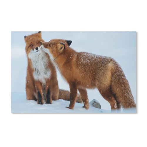 Puzzle 1000 Teile für Erwachsene, 2 Füchse im Schnee, einzigartig, geeignet für Jugendliche und Erwachsene, Heimdekoration, 50 x 70 cm von EZMLFA