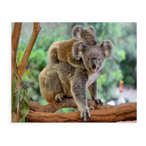 Puzzle 1000 Teile für Erwachsene, Koala mit Baby auf dem Rücken, Puzzle, geistiges Lernspiel, lustiges Spielzeug, Familienspiel für Erwachsene und Kinder, 38 x 52 cm, 70 x 50 cm Puzzle 1000 Teile für Erwachsene, Koala mit Baby auf dem Rücken, Puzzle, geistiges Lernspiel, lustiges Spielzeug, Familienspiel für Erwachsene und Kinder, 38 x 52 cm, 70 x 50 cm von EZMLFA