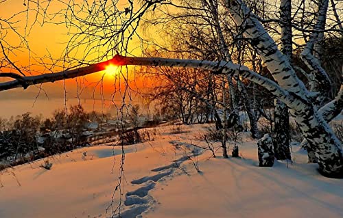 Puzzle 1000 Teile für Erwachsene, Lernspiele, Heimdekoration, Puzzle, Geschenke für Männer, Erwachsene und Kinder, Malsets, Naturlandschaft, Sonnenuntergang, 50 x 70 cm Puzzle 1000 Teile für Erwachsene, Lernspiele, Heimdekoration, Puzzle, Geschenke für Männer, Erwachsene und Kinder, Malsets, Naturlandschaft, Sonnenuntergang, 50 x 70 cm von EZMLFA