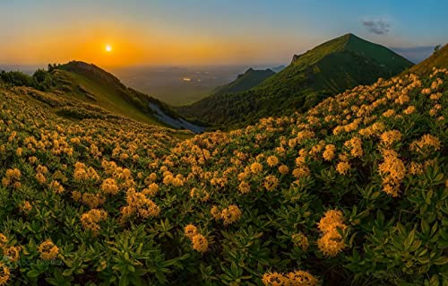 Puzzle 1000 Teile für Erwachsene, Lernspiele, Heimdekoration, Puzzle, Geschenke für Männer, Naturlandschaft, Sonnenuntergang, Berge, 26 x 38 cm Puzzle 1000 Teile für Erwachsene, Lernspiele, Heimdekoration, Puzzle, Geschenke für Männer, Naturlandschaft, Sonnenuntergang, Berge, 26 x 38 cm von EZMLFA