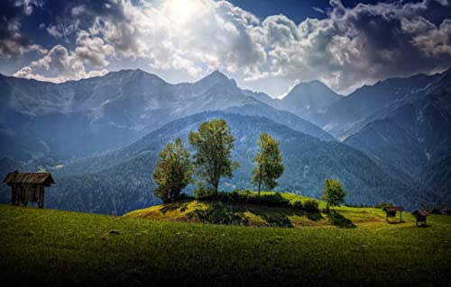 Puzzle 1000 Teile für Erwachsene, anspruchsvolle Puzzlespiele, Naturlandschaft, Berge, Österreich, Wald, 50 x 70 cm Puzzle 1000 Teile für Erwachsene, anspruchsvolle Puzzlespiele, Naturlandschaft, Berge, Österreich, Wald, 50 x 70 cm von EZMLFA