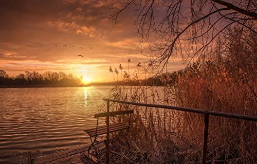 Puzzle 1000 Teile für Erwachsene, anspruchsvolle Puzzlespiele, Naturlandschaft, Sonnenuntergang, See, 50 x 70 cm Puzzle 1000 Teile für Erwachsene, anspruchsvolle Puzzlespiele, Naturlandschaft, Sonnenuntergang, See, 50 x 70 cm von EZMLFA