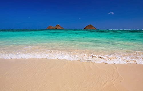 Puzzle 1000 Teile für Erwachsene, anspruchsvolle Puzzlespiele, Naturlandschaft, Strand, Ozean, USA, Lanikai Beach, Hawaii-Inseln, 50 x 70 cm Puzzle 1000 Teile für Erwachsene, anspruchsvolle Puzzlespiele, Naturlandschaft, Strand, Ozean, USA, Lanikai Beach, Hawaii-Inseln, 50 x 70 cm von EZMLFA