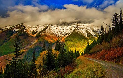 Puzzle 1000 Teile für Erwachsene, anspruchsvolle Puzzlespiele, Naturlandschaft, Straße, Wald, Berg, 50 x 70 cm Puzzle 1000 Teile für Erwachsene, anspruchsvolle Puzzlespiele, Naturlandschaft, Straße, Wald, Berg, 50 x 70 cm von EZMLFA