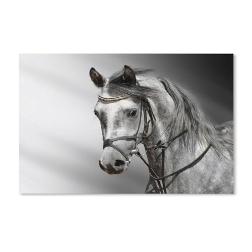 Puzzle 1000 Teile für Erwachsene, weißes Pferd, großes Puzzlespiel, Kunstwerk für Erwachsene und Jugendliche, 38 x 52 cm, 70 x 50 cm von EZMLFA