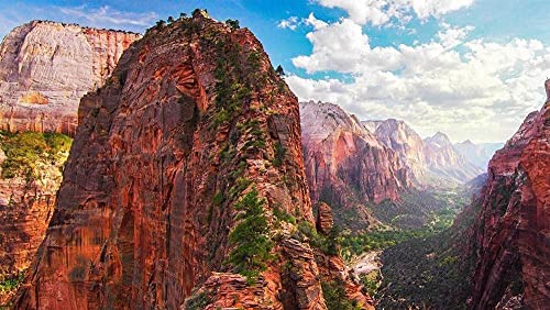 Puzzle 1000 Teile für Erwachsene Landschaftsmuster Puzzle Intellektuelle Unterhaltung Spiel Spielzeug Geschenk 3D DIYpuzzle Zion Nationalpark 26x38CM Puzzle 1000 Teile für Erwachsene Landschaftsmuster Puzzle Intellektuelle Unterhaltung Spiel Spielzeug Geschenk 3D DIYpuzzle Zion Nationalpark 26x38CM von EZMLFA