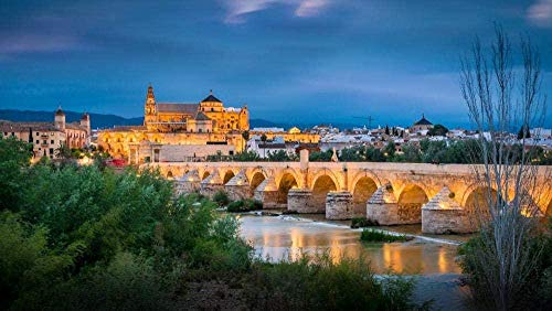 Puzzle 1000 Teile für Erwachsene und Kinder Stadt Nachtszene Stein Brücke Fluss Landschaft Pädagogische Dekompressionsspiele Freizeit Puzzle Landschaft Puzzles Spielzeug 50x70CM von EZMLFA