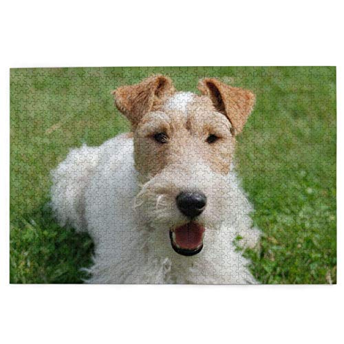 Puzzle 2000 Teile, Airedale Terrier, weiße lockige Hunde, Haustiere, Puzzlespielzeug, Familienspiel, Wanddekoration für Erwachsene und Jugendliche, 70 x 100 cm Puzzle 2000 Teile, Airedale Terrier, weiße lockige Hunde, Haustiere, Puzzlespielzeug, Familienspiel, Wanddekoration für Erwachsene und Jugendliche, 70 x 100 cm von EZMLFA