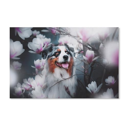 Puzzle 2000 Teile, Australischer Schäferhund, Spielzeug für Erwachsene, Dekompressionsspiel, 70 x 100 cm Puzzle 2000 Teile, Australischer Schäferhund, Spielzeug für Erwachsene, Dekompressionsspiel, 70 x 100 cm von EZMLFA