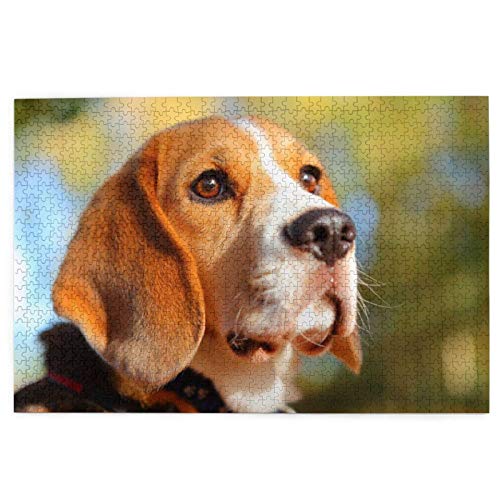 Puzzle 2000 Teile, Beagle-Hunde, Bokeh-Haustiere, Beagle-Puzzle, Spielzeug, Familienspiel, Wanddekoration für Erwachsene und Jugendliche, 70 x 100 cm Puzzle 2000 Teile, Beagle-Hunde, Bokeh-Haustiere, Beagle-Puzzle, Spielzeug, Familienspiel, Wanddekoration für Erwachsene und Jugendliche, 70 x 100 cm von EZMLFA