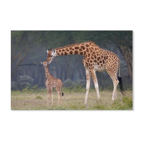 Puzzle 2000 Teile, Bild zusammensetzen, Giraffe, Spiele für Erwachsene, Lernspielzeug, 38 x 52 cm, 70 x 100 cm von EZMLFA