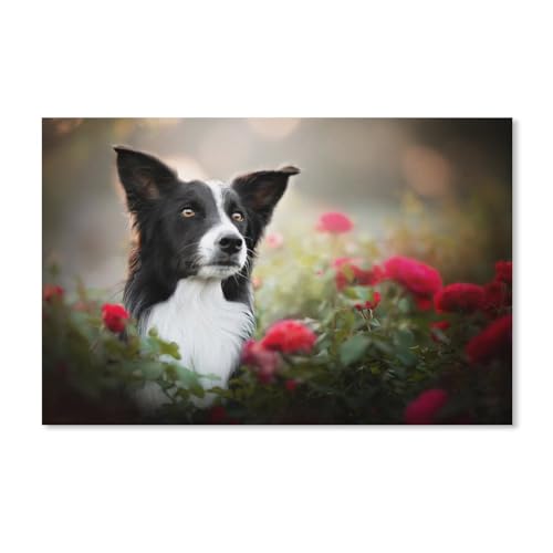 Puzzle 2000 Teile, Border Collie-Hund, Papierpuzzle für Kinder und Erwachsene, Puzzlespiel, Spielzeug, Geschenk zur Wanddekoration, 70 x 100 cm von EZMLFA