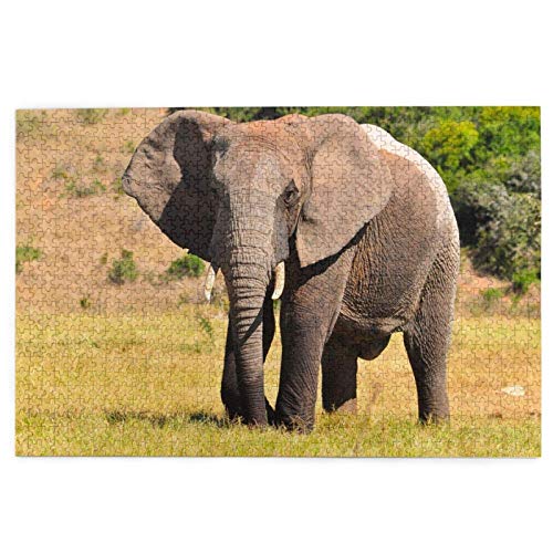 Puzzle 2000 Teile, Großer Afrikanischer Elefant, Wildtiere, Elefanten, Savanne, Puzzlespielzeug, Familienspiel, Wanddekoration für Erwachsene und Jugendliche, 70 x 100 cm Puzzle 2000 Teile, Großer Afrikanischer Elefant, Wildtiere, Elefanten, Savanne, Puzzlespielzeug, Familienspiel, Wanddekoration für Erwachsene und Jugendliche, 70 x 100 cm von EZMLFA